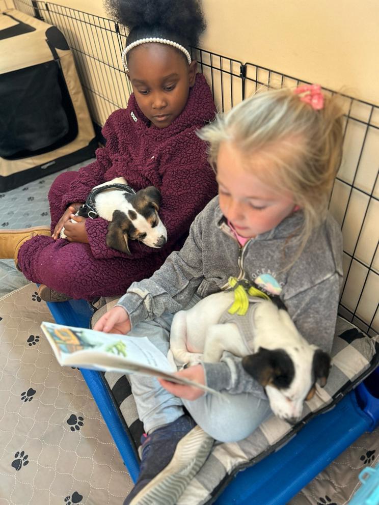 PHOTO: Hughes said through the puppy therapy program, students have not only worked on improving their reading skills but also their life skills, such as learning about responsibility.