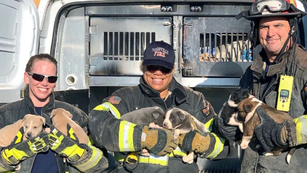 PHOTO: Engineer Tracey Silvage, firefighter Michelle Harris and Captain Fred Ray helped rescue eight puppies stuck under an apartment building.