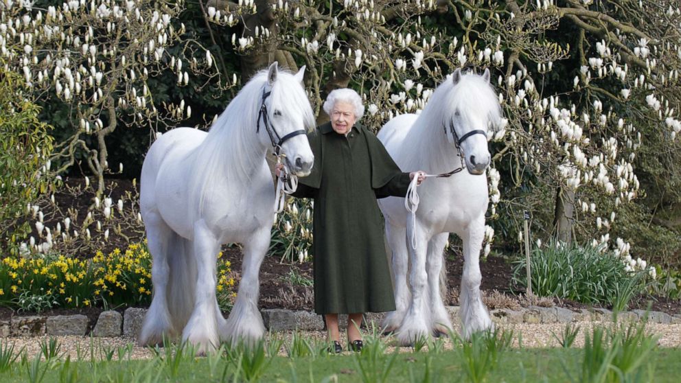 PHOTO: In this photo released by Royal Windsor Horse Show, April 20, 2022, and taken in March 2022, Britain's Queen Elizabeth poses for a photo with her Fell ponies Bybeck Nightingale, right, and Bybeck Katie on the grounds of Windsor Castle in Windsor.