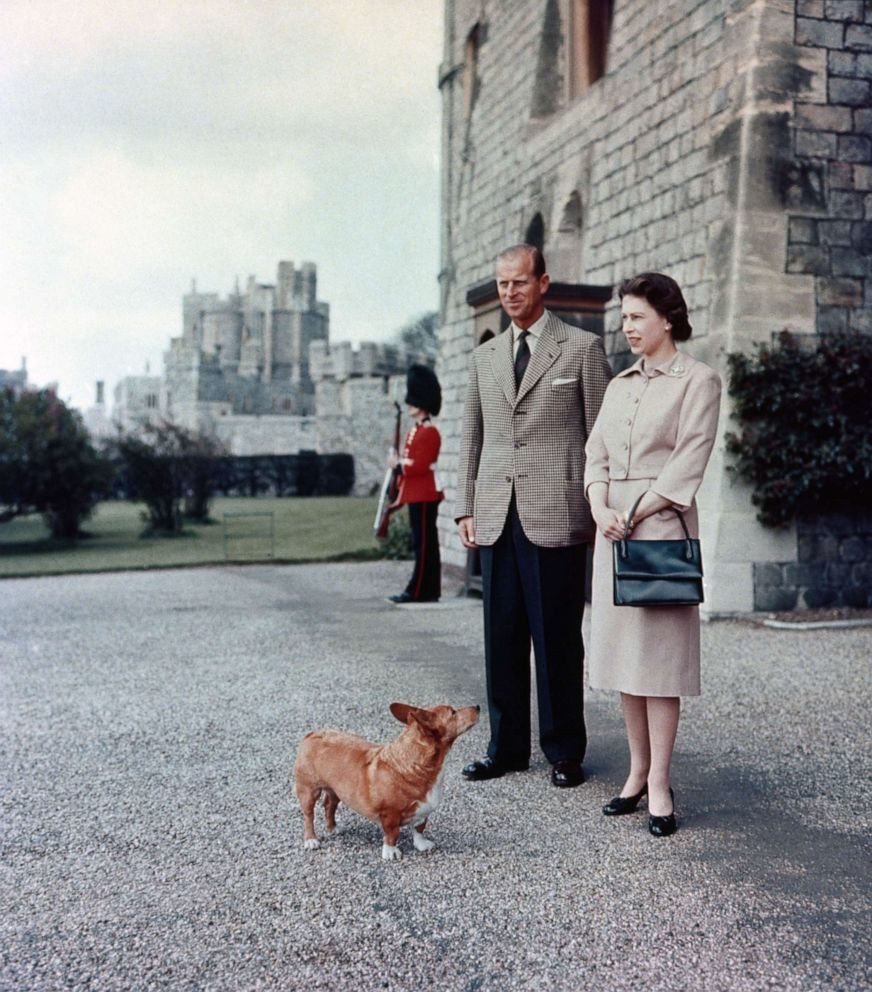 PHOTO: Queen Elizabeth II and Duke of Edinburgh at Windsor joined by Sugar, one of the Royal corgis, June 2, 1959.