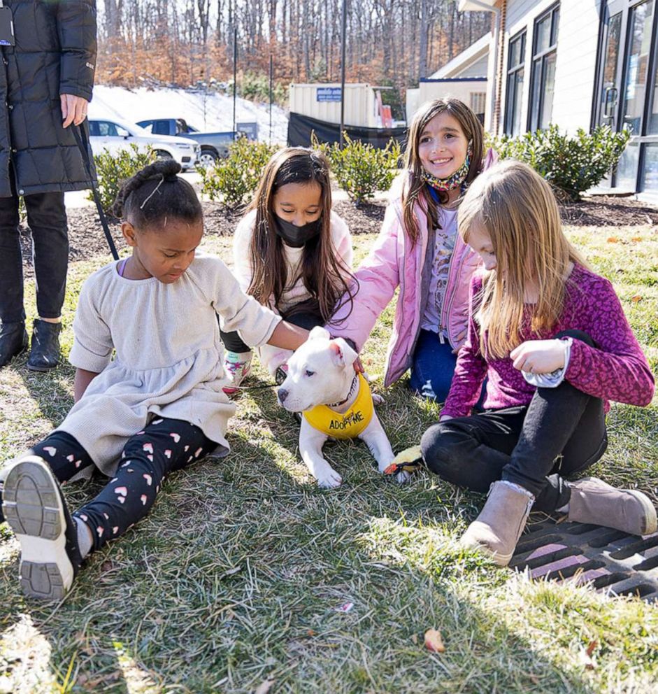 PHOTO: St. Michael's Episcopal School students met with Snow, an American pit bull terrier, and learned about animal adoption and the RACC shelter's work.