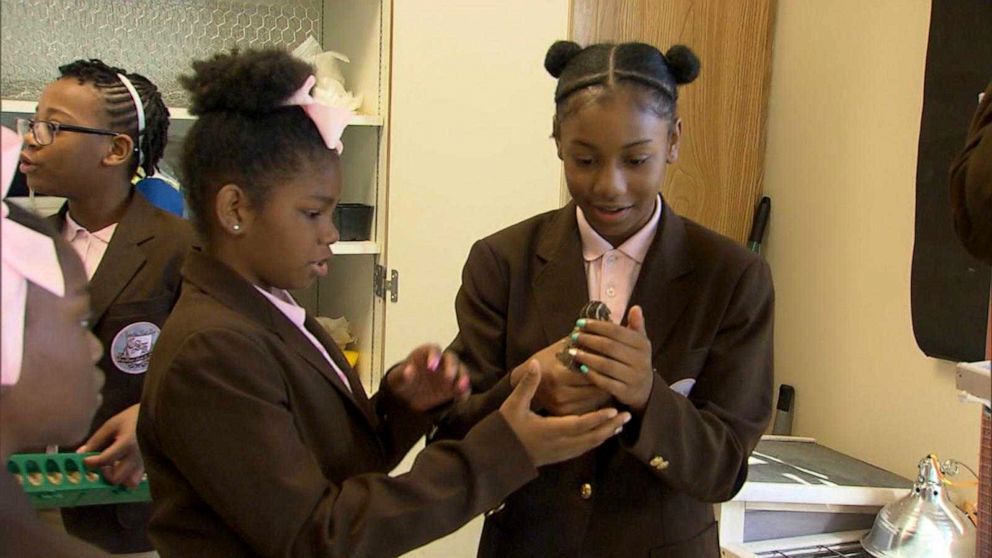 PHOTO: Sixth graders at the Coretta Scott King Young Women's Leadership Academy in Atlanta raise quails to help feed their community. 