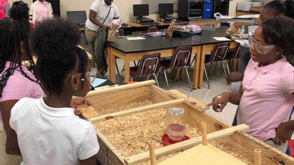 PHOTO: Sixth graders at the Coretta Scott King Young Women's Leadership Academy in Atlanta raise quails to help feed their community. 