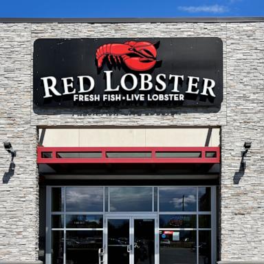 PHOTO: In this May 12, 2024, file photo, a Red Lobster location is shown.