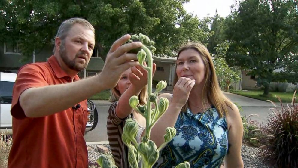 PHOTO: Carl and Mindy Jensen garden with one of their children.