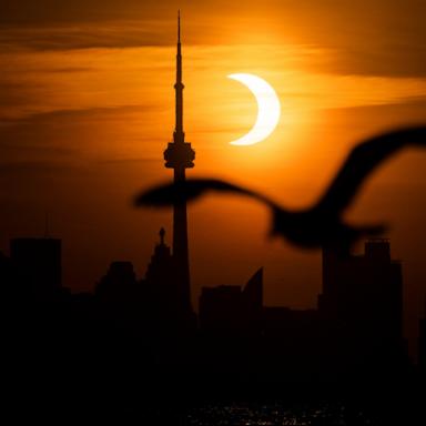 PHOTO: The sun rises behind the skyline during an annular eclipse in Toronto, Canada, June 10, 2021. 