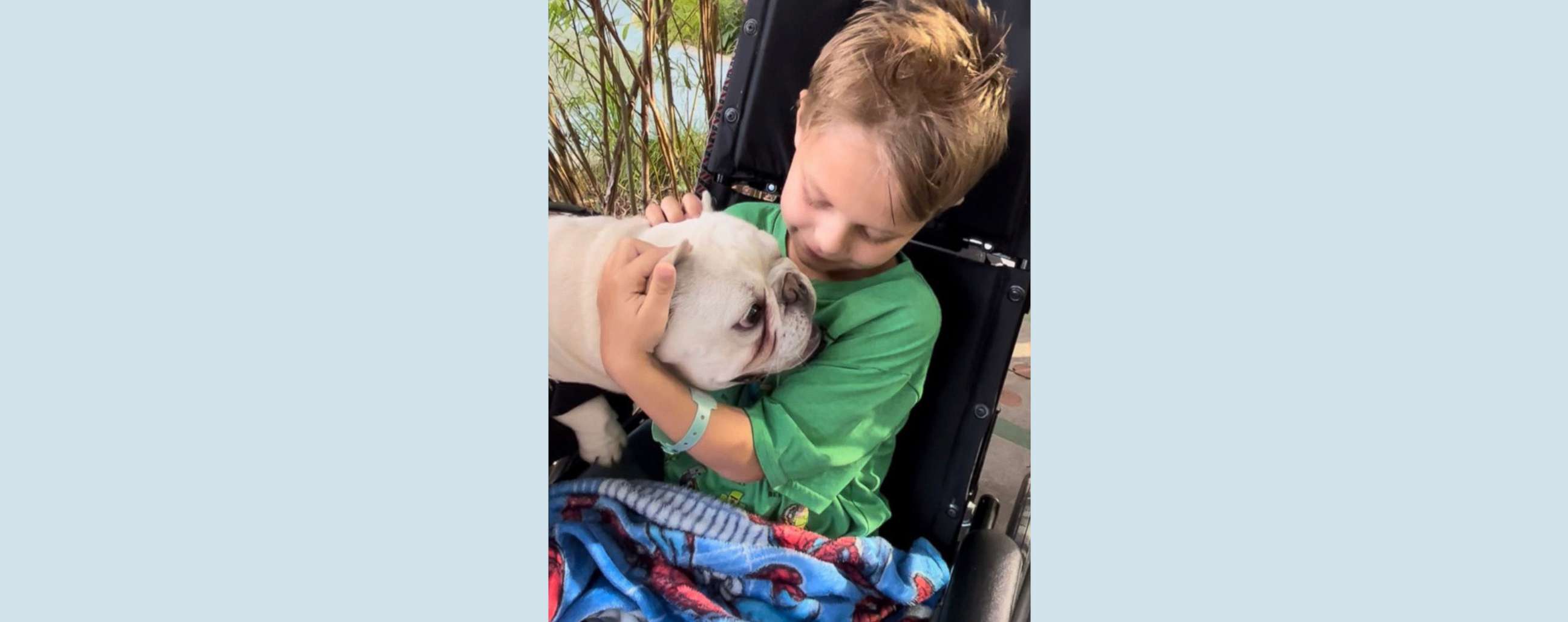 PHOTO: Cooper Roberts, who was paralyzed in the July 4th parade attack in Highland Park, Illinois, was reunited for the first time since the shooting with his dog, George.