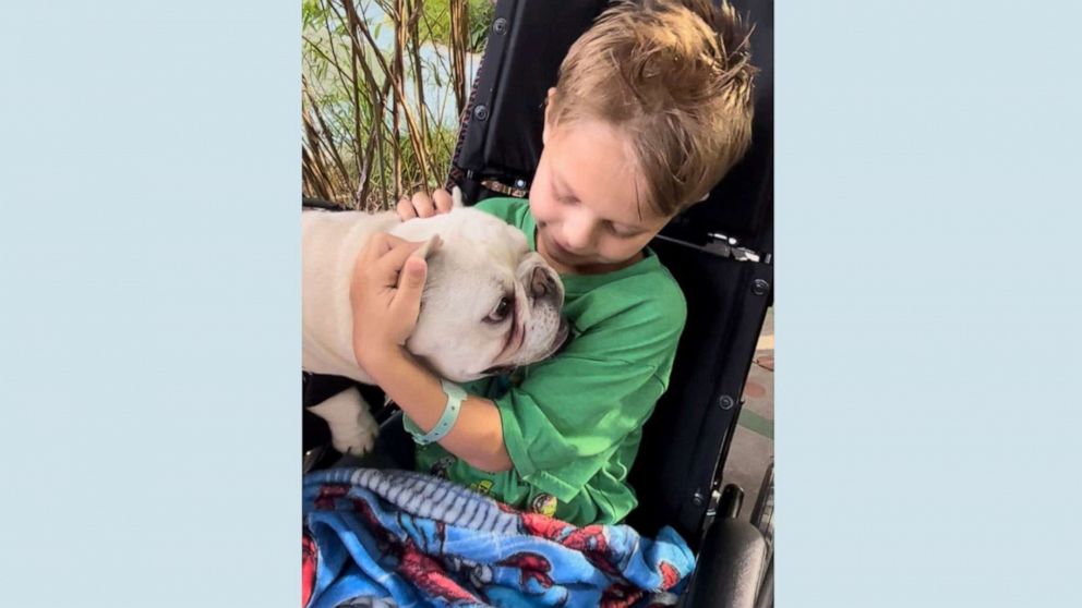 PHOTO: Cooper Roberts, who was paralyzed in the July 4th parade attack in Highland Park, Illinois, was reunited for the first time since the shooting with his dog, George.