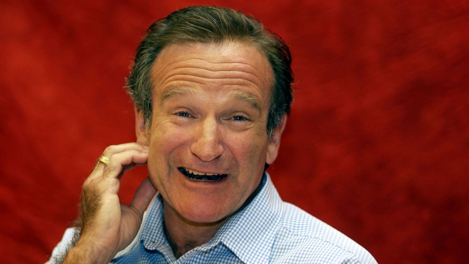 PHOTO: Robin Williams smiles during a press conference in Century City, Calif., July 27, 2002.