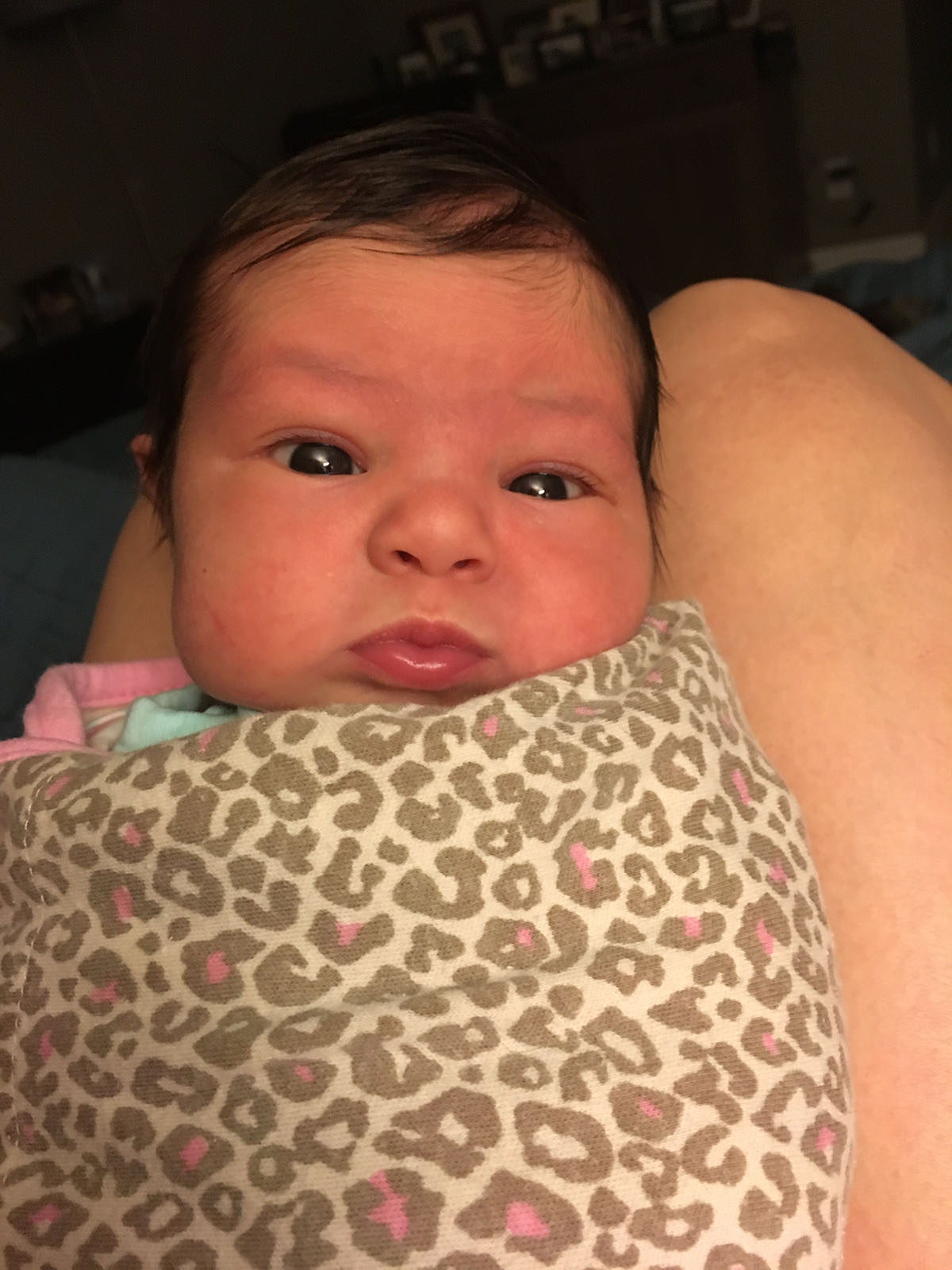 PHOTO: Baby Corina Dubow was born jsut days before her aunt Anna Halperin-Salmon's wedding day.