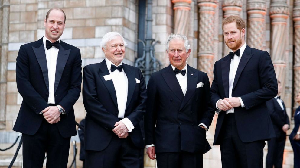 PHOTO: Prince William, Sir David Attenborough, Prince Charles, and Prince Harry attend the "Our Planet" global premiere the at the Natural History Museum, April 4, 2019 in London. 