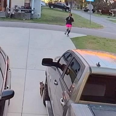 PHOTO: Anna Boswell shared a TikTok video of Stanley Golden, her former neighbor, checking in on her before she went on a run earlier this September.