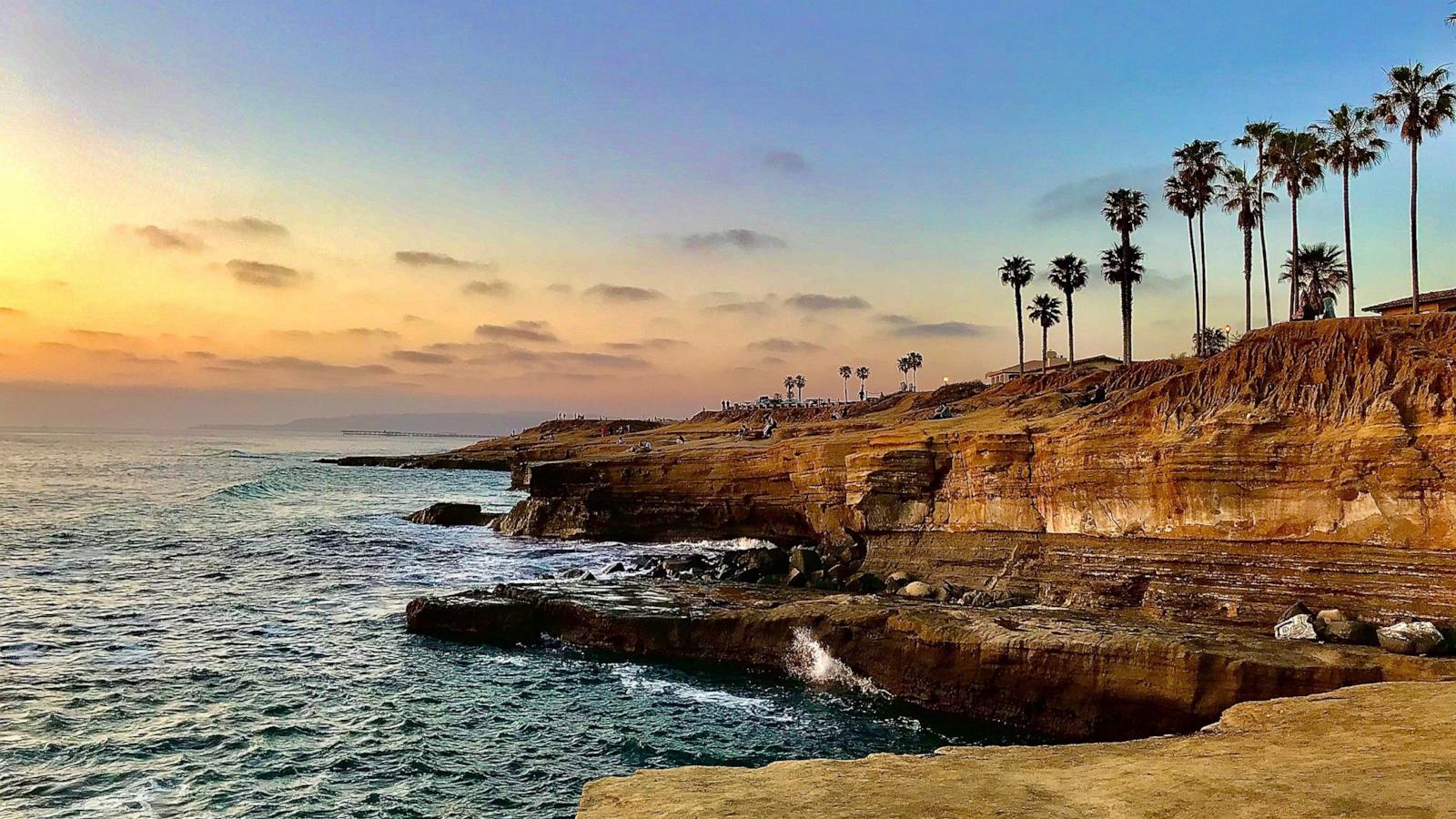 PHOTO: Stock photo of San Diego palms at Sunset Cliffs.