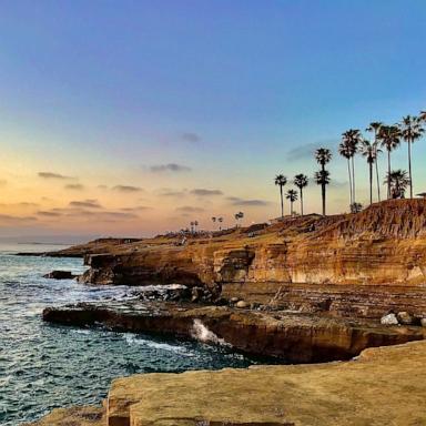 PHOTO: Stock photo of San Diego palms at Sunset Cliffs.