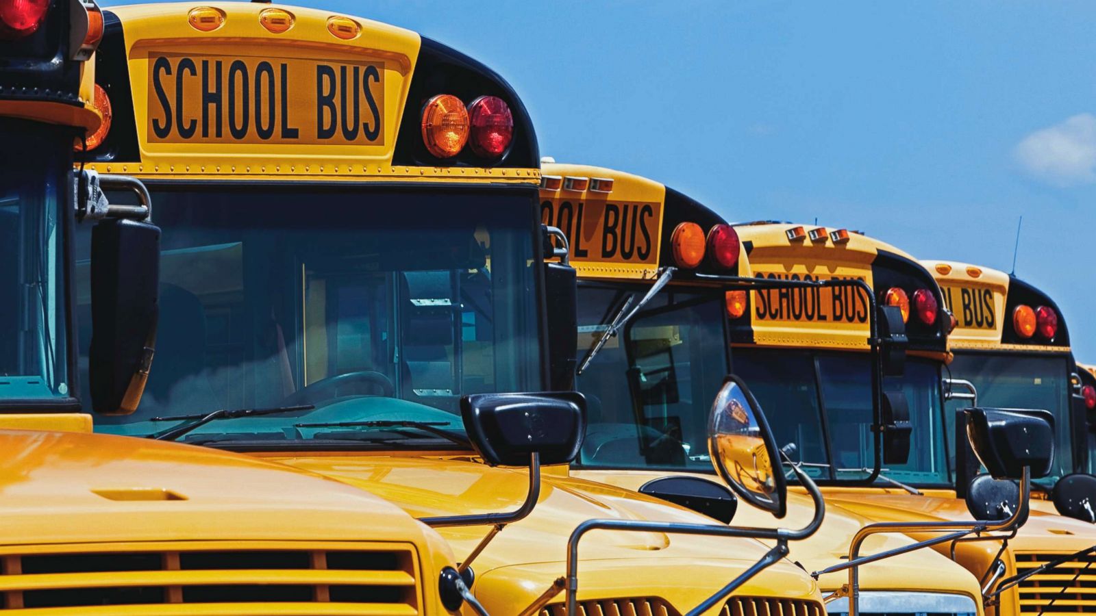 PHOTO: A row of school buses is pictured in an undated stock photo.