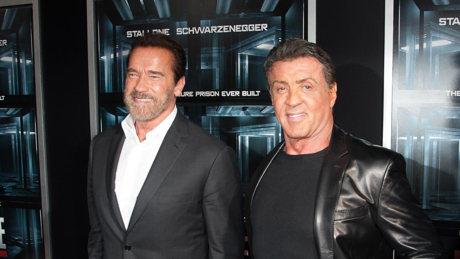 PHOTO: In this Oct. 15, 2013, file photo, Arnold Schwarzenegger and Sylvester Stallone attends a premiere in New York.