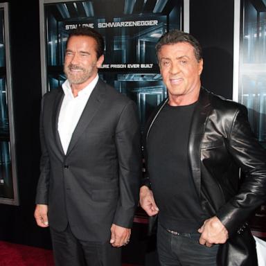 PHOTO: In this Oct. 15, 2013, file photo, Arnold Schwarzenegger and Sylvester Stallone attends a premiere in New York.