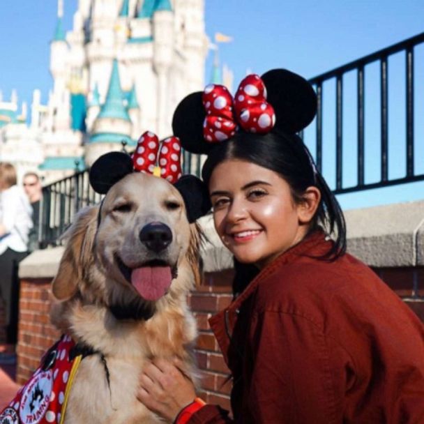 This service dog took the cutest trip to Walt Disney World - Good Morning  America
