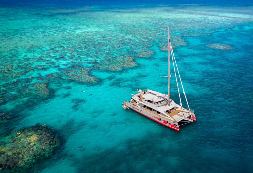 PHOTO: Scuba tour company Passions for Paradise is planting coral on the Great Barrier Reef as tourists stay home during the coronavirus pandemic.