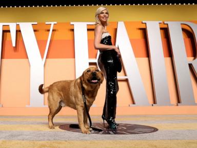 Selma Blair's service dog steals the show at Vanity Fair Oscar Party