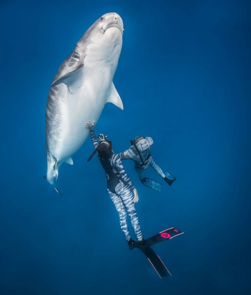 PHOTO: Marine biologist Kori Garza, 28, encountered Kamakai during a 2018 diving expedition in French Polynesia.