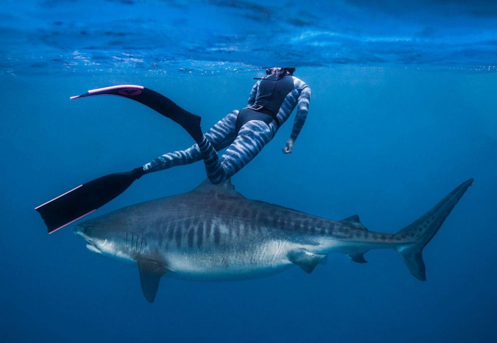PHOTO: Marine biologist Kori Garza, 28, encountered Kamakai during a 2018 diving expedition in French Polynesia.