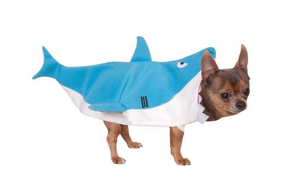 PHOTO: Shark Pet Costume