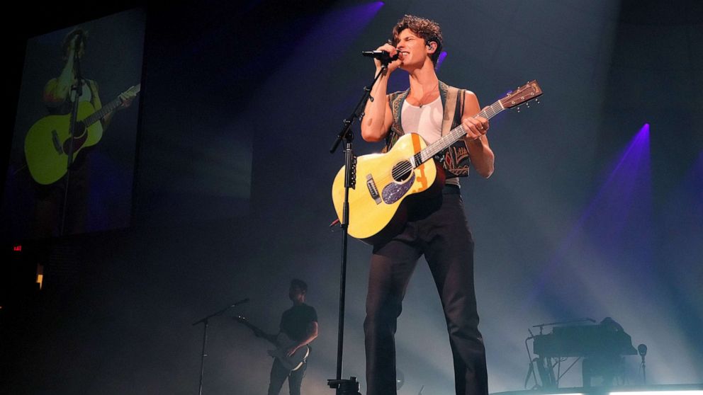 Shawn Mendes Performs 'Patience