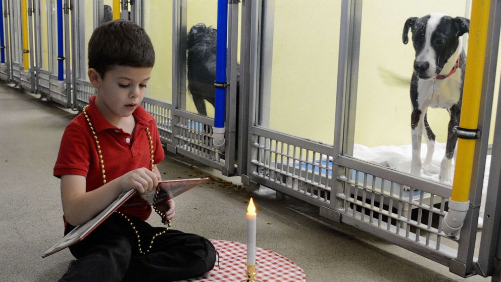 Kids read holiday 'tails' at shelter to help get dogs adopted - Good ...