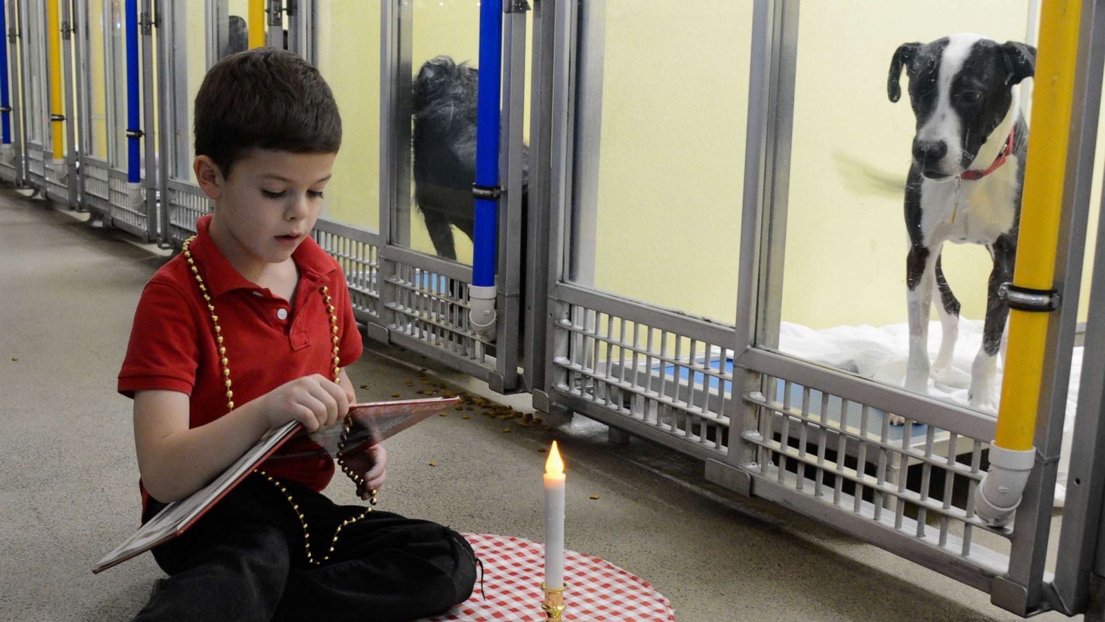 PHOTO: Young boy reads to a dog at the Humane Society of Missouri for their annual Deck the Howls event.