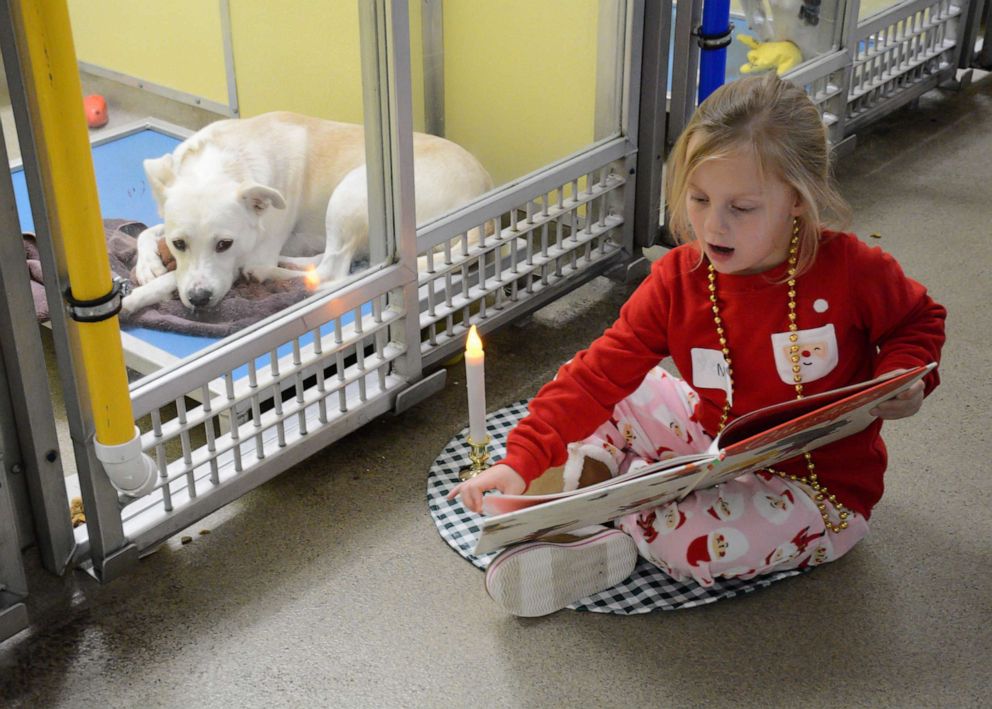 PHOTO: Young girl reads to a dog at the Humane Society of Missouri for their annual Deck the Howls event.