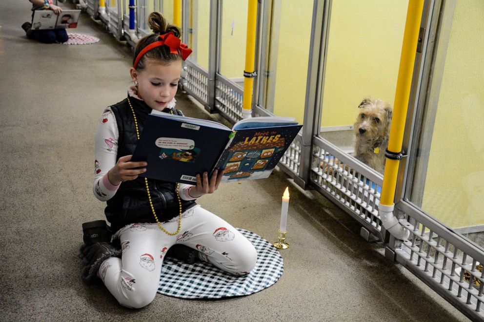PHOTO: Young girl reads to a dog at the Humane Society of Missouri for their annual Deck the Howls event.