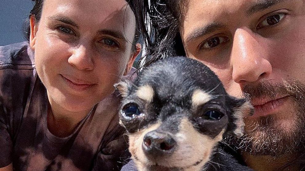 Dan + Shay’s Dan Smyers and his spouse Abby undertake senior canine dealing with ‘critical medical issues’