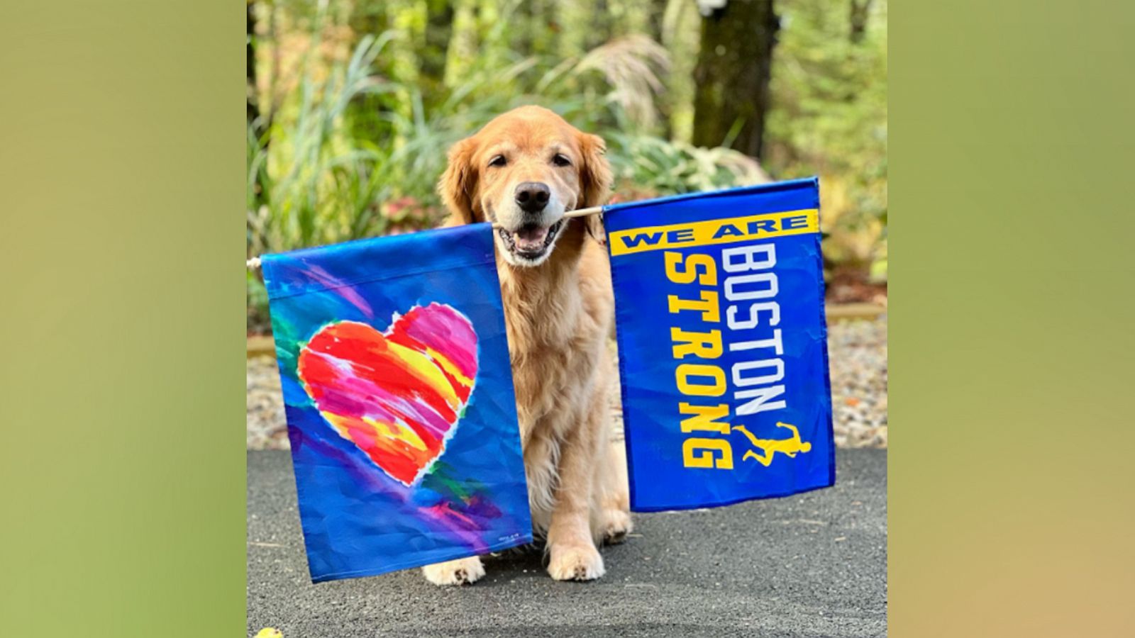 PHOTO: Spencer the dog first started cheering runners at the Boston Marathon in 2015.