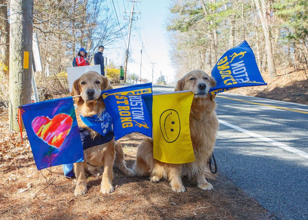 PHOTO: Both of Powers' dogs, Spencer and Penny, cheered runners at the Boston Marathon over the years.
