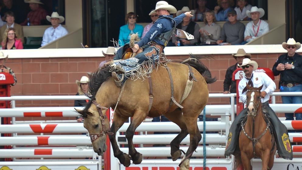 PHOTO: Spencer Wright from Milford UT, on Paper Clip, during Bareback bronc competition, at the Calgary Stampede in July 2016, in Calgary, Canada.