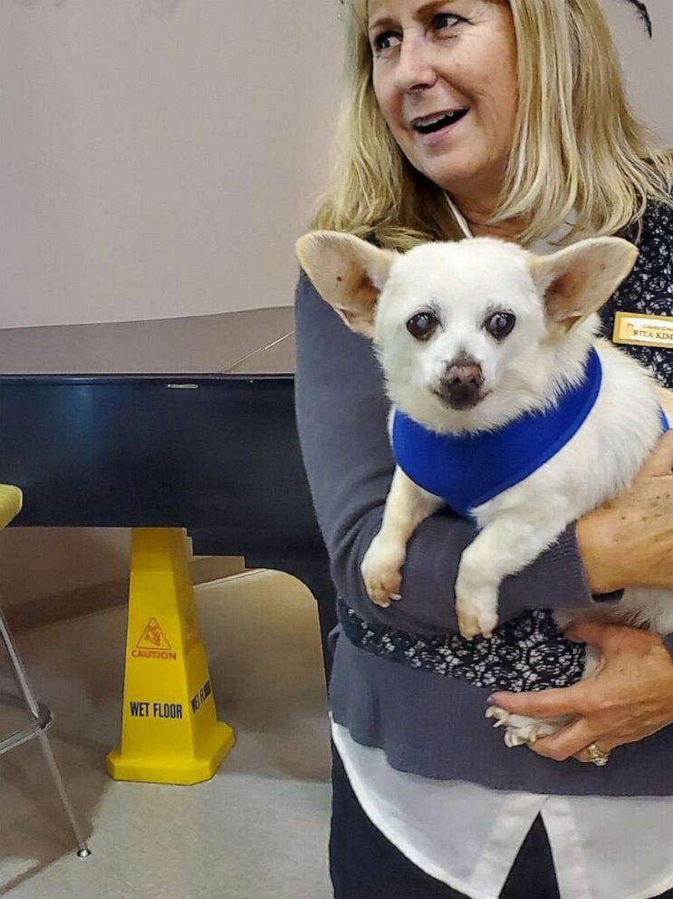 PHOTO: Rita Kimball said she found Spike abandoned at a grocery store parking lot back in August 2009 and took him in.