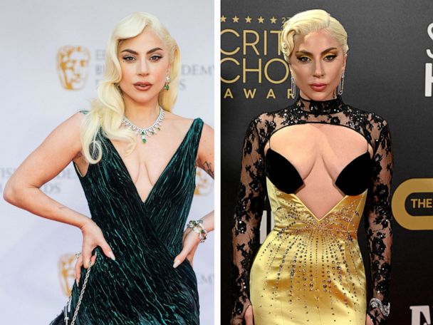 why does lady gaga dress the way she does Meat dress of Lady Gaga