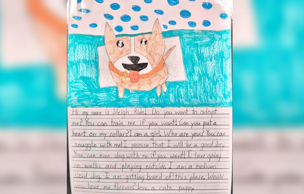 PHOTO: A St. Michael's student's letter and drawing for a dog named "Sleigh Ride."
