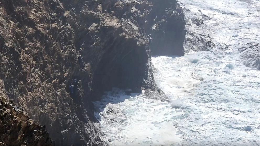 PHOTO: A family of seven were rescued from a cliffside in New South Wales, Australia.