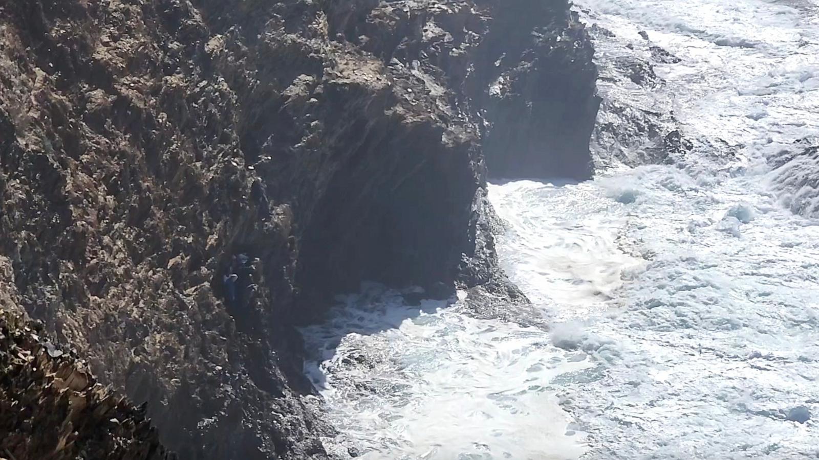 PHOTO: A family of seven were rescued from a cliffside in New South Wales, Australia.