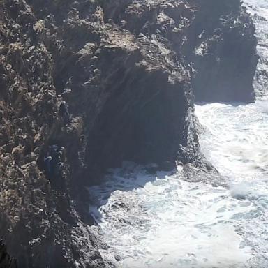 PHOTO: A family of seven were rescued from a cliffside in New South Wales, Australia.