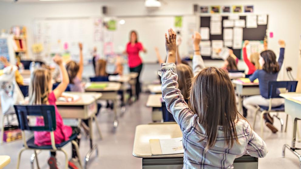 PHOTO: Students raise their hands in a classroom.