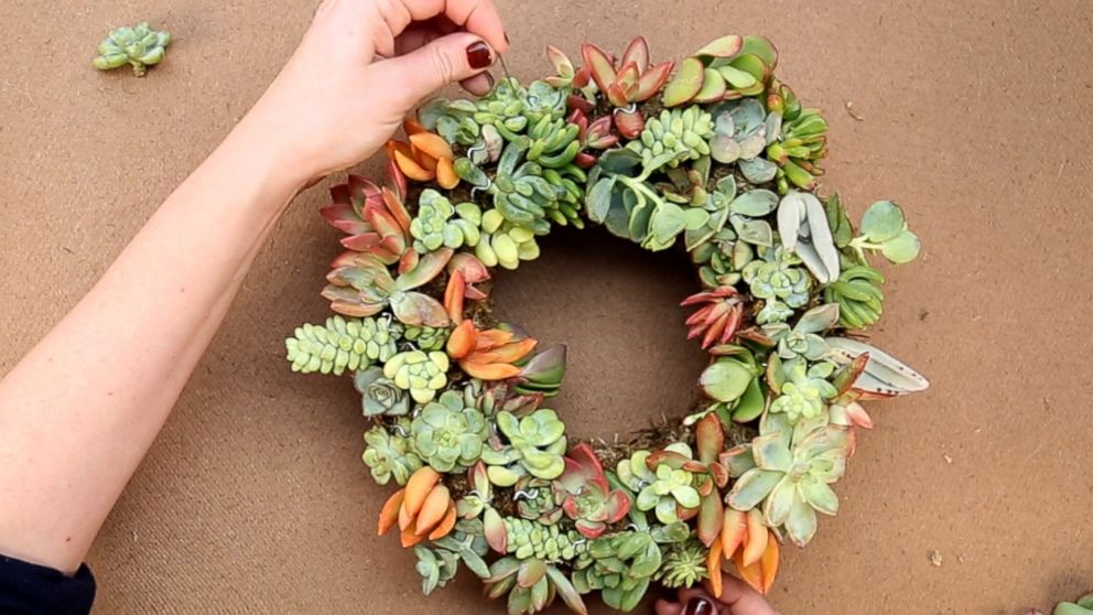 This DIY succulent wreath is major holiday decor goals