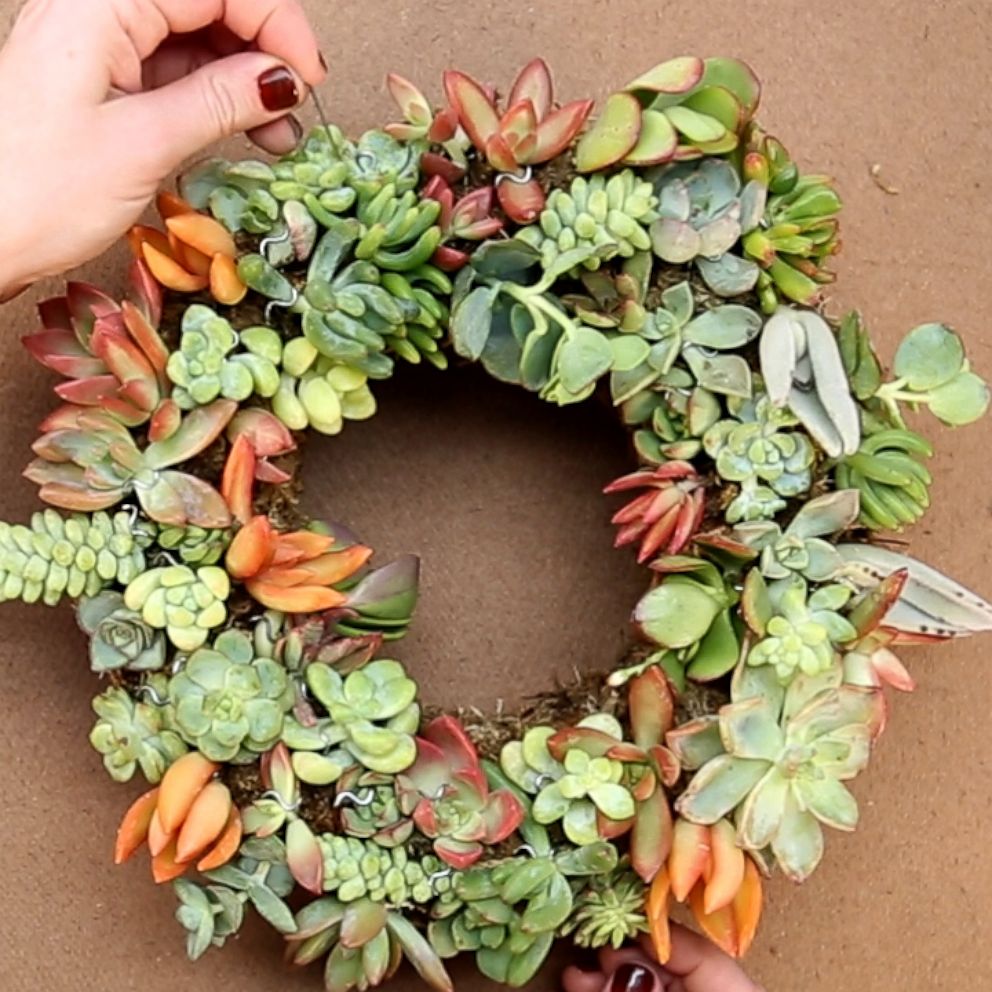 VIDEO: This DIY succulent wreath is major holiday decor goals