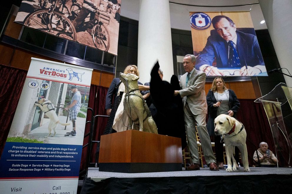 PHOTO:David Jones, president and CEO of the George & Barbra Bush Foundation, pulls the cover off of a life-size bronze statue of Sully, late President George H.W. Bush's former service dog, Dec. 2, 2019. 