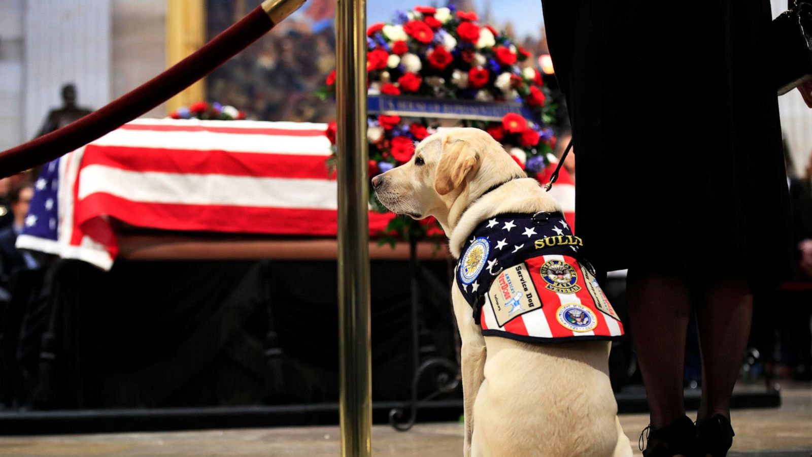 PHOTO: Sully, former President George H.W. Bush's service dog, pays his respect to President Bush as he lies in state at the U.S. Capitol in Washington,D.C., Dec. 4, 2018.