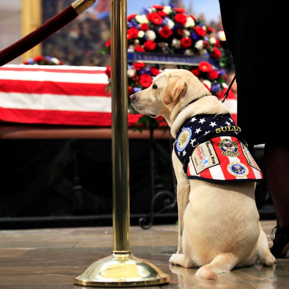 video: Statue commemorates President George H.W. Bush's service dog, Sully