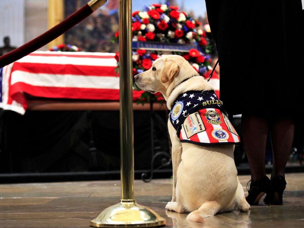 SERVICE DOG SULLY AT GEORGE H.W BUSH FUNERAL 8x10 SILVER HALIDE PHOTO PRINT 