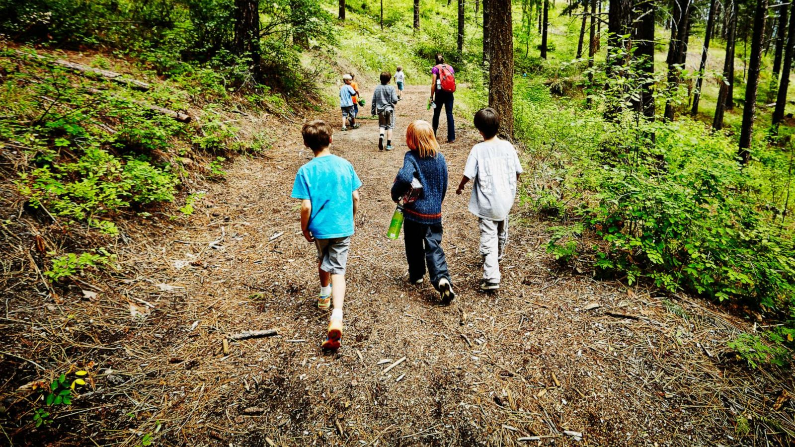 PHOTO: A stock photo depicts a group of children walking on trail in the woods with a camp counselor at a summer camp.